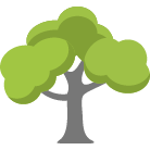 West Jordan Tree Trimming