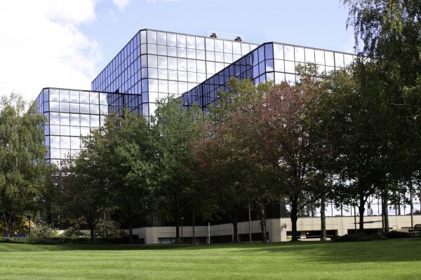 Commercial Tree Trimming in West Jordan